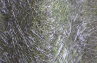 College Milton fibreglass roof work